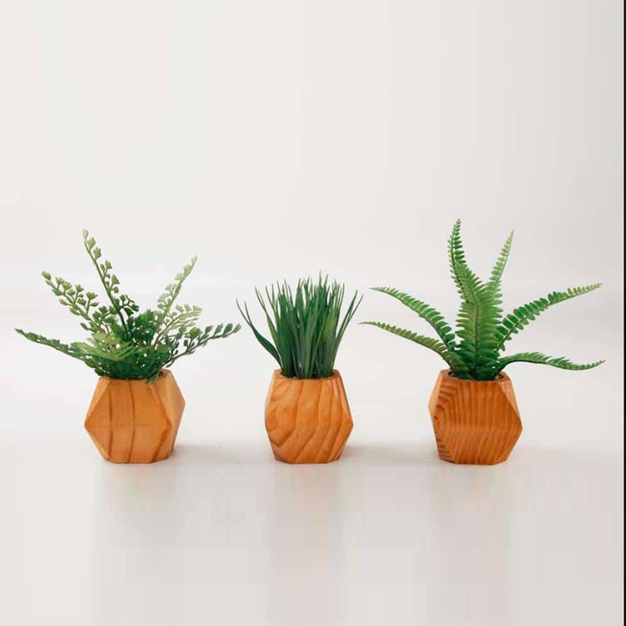 TF Publishing 7" Ferns and Grass in Mid-Century Geometric Pots, 3ct.